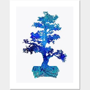 Bonsai In Blue Posters and Art